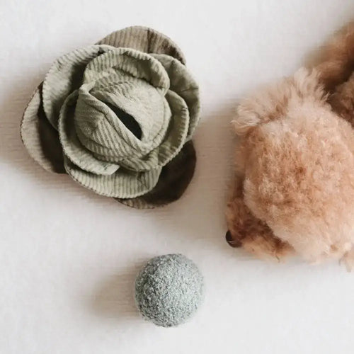 Een hond snuffelt nieuwsgierig aan het KOHL POP Bezighoudingsspeelgoed van Lambwolf Collective, dat met verborgen zakjes voor lekkernijen interactief speelplezier biedt.