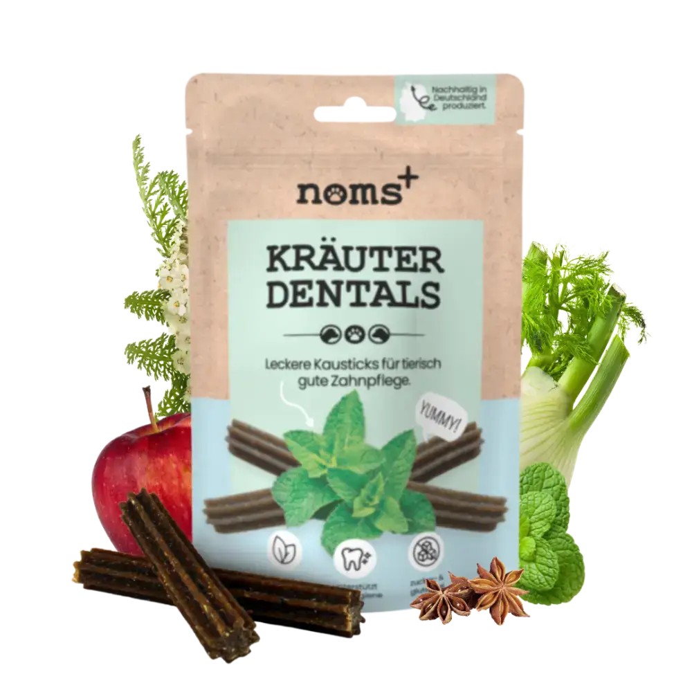 Natürliche Zahnpflege für Hunde mit Kräuter-Dentalsticks – Unterstützt gesunde Zähne & Maulflora mit über 20 Superfoods.