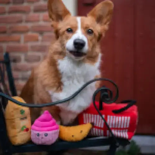 Lustiges Supermarkt-Hundespielzeug aus Plüsch für stundenlangen Spielspaß.