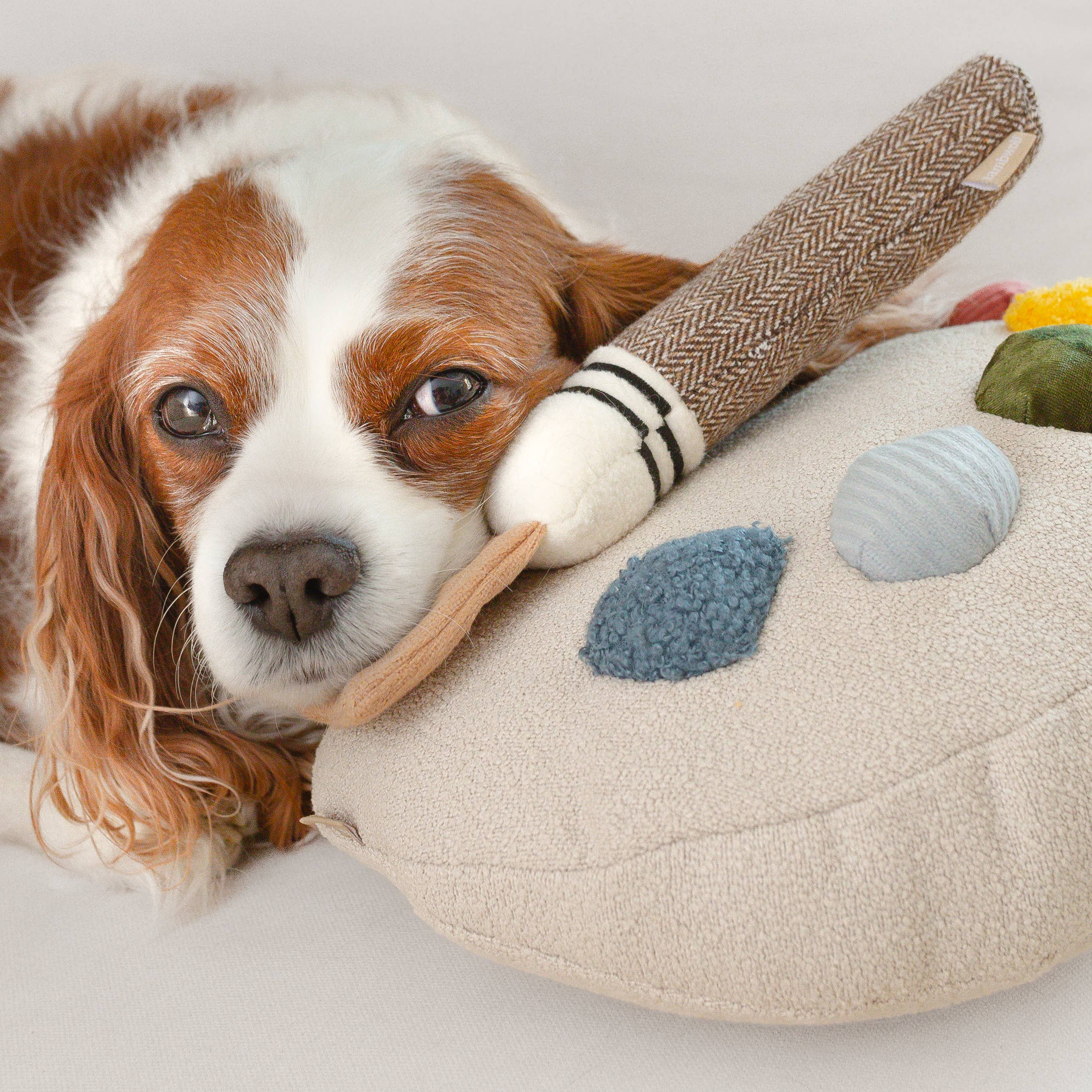 Hund kuschelt sich an das weiche Farbpaletten-Spielzeug von Lambwolf