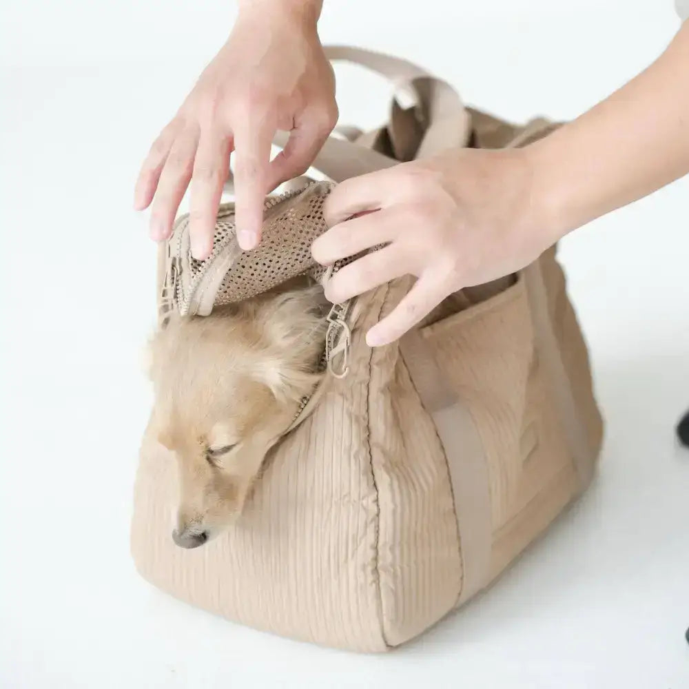 Stylische CITY Hundetragetasche von Lambwolf Collective – Für luxuriöses Reisen mit deinem Hund