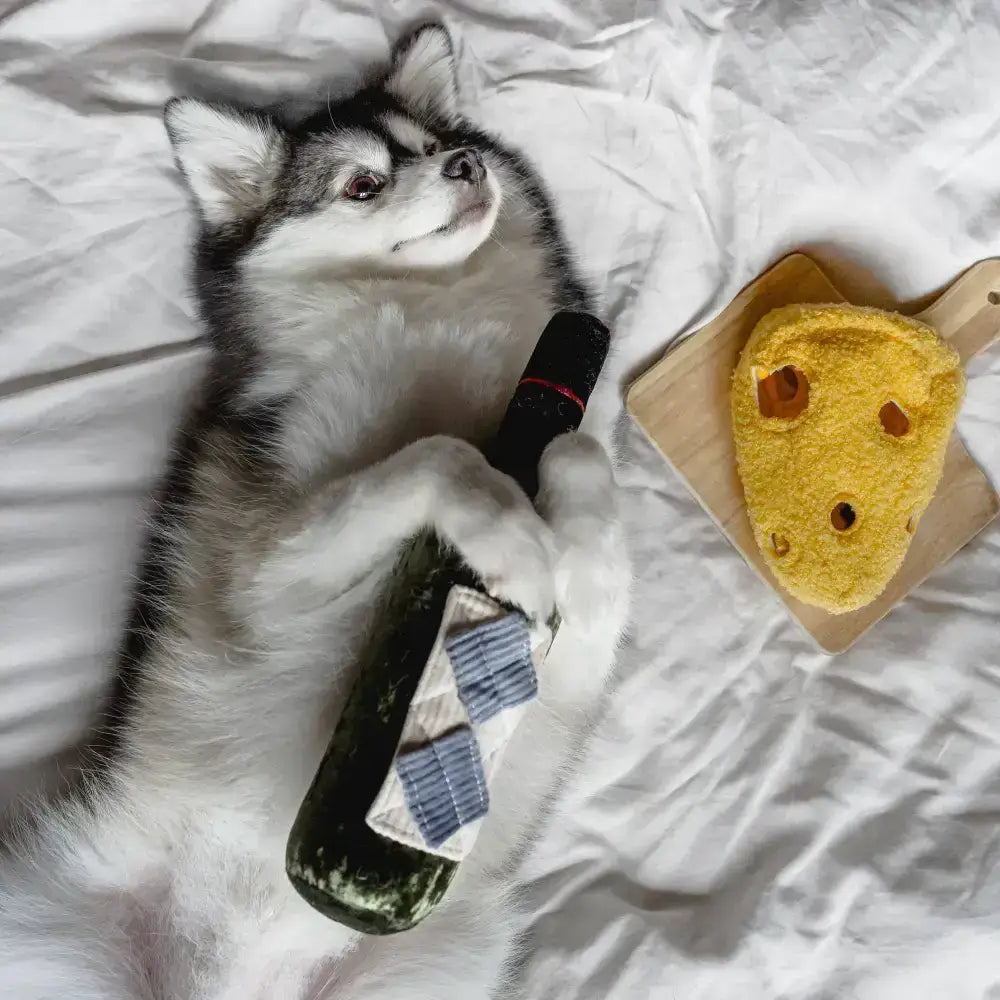 Lambwolf Collective Fromage – Interaktives Hundespielzeug fuer langanhaltende Beschaeftigung