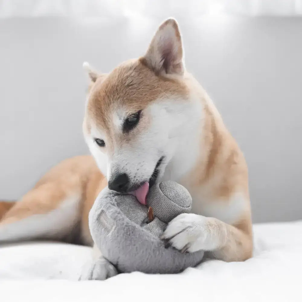 Lambwolf Collective GUU Schnüffelpilz – Interaktives Spielzeug für kleine & große Hunde.