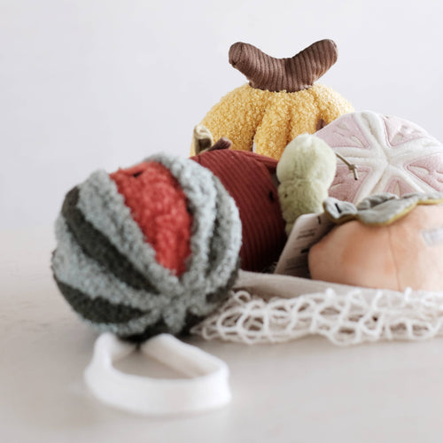 Watermeloen POP van Lambwolf Collective met ander fruitspeelgoed in het net