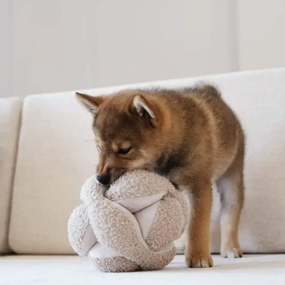 Montessori-Hundespielzeug in Beige – Perfekt für geistige Stimulation & sensorische Erlebnisse.