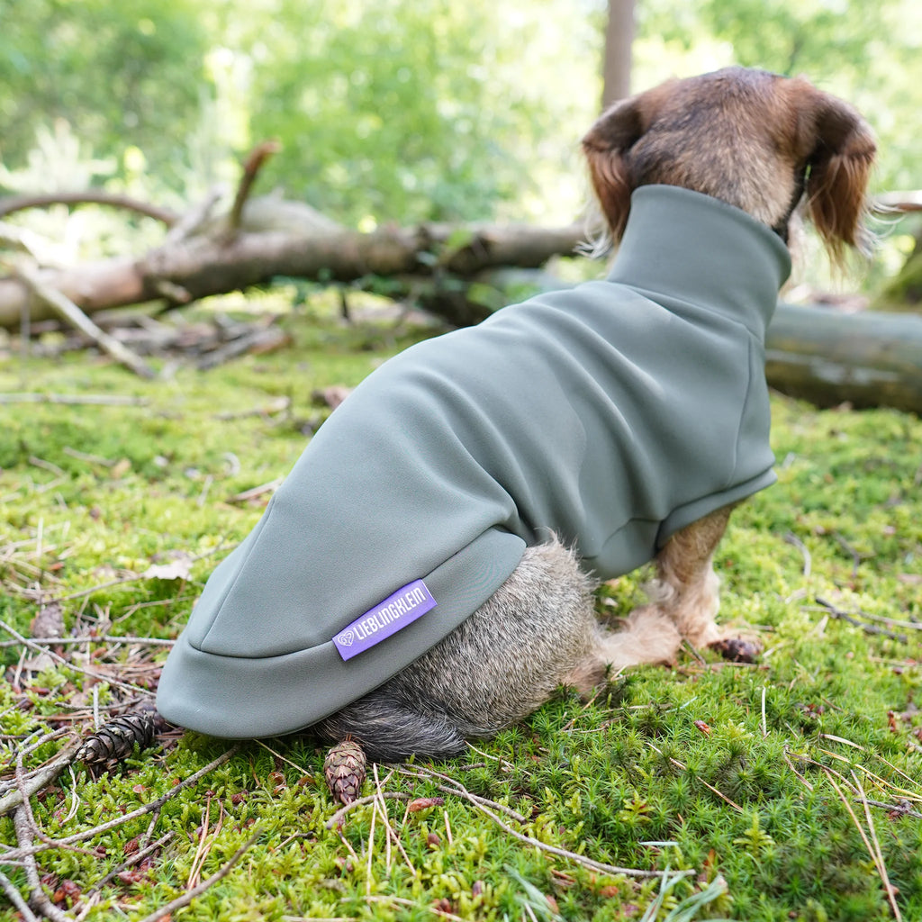 Hundepullover Dackel | no rain please - Hundepullover