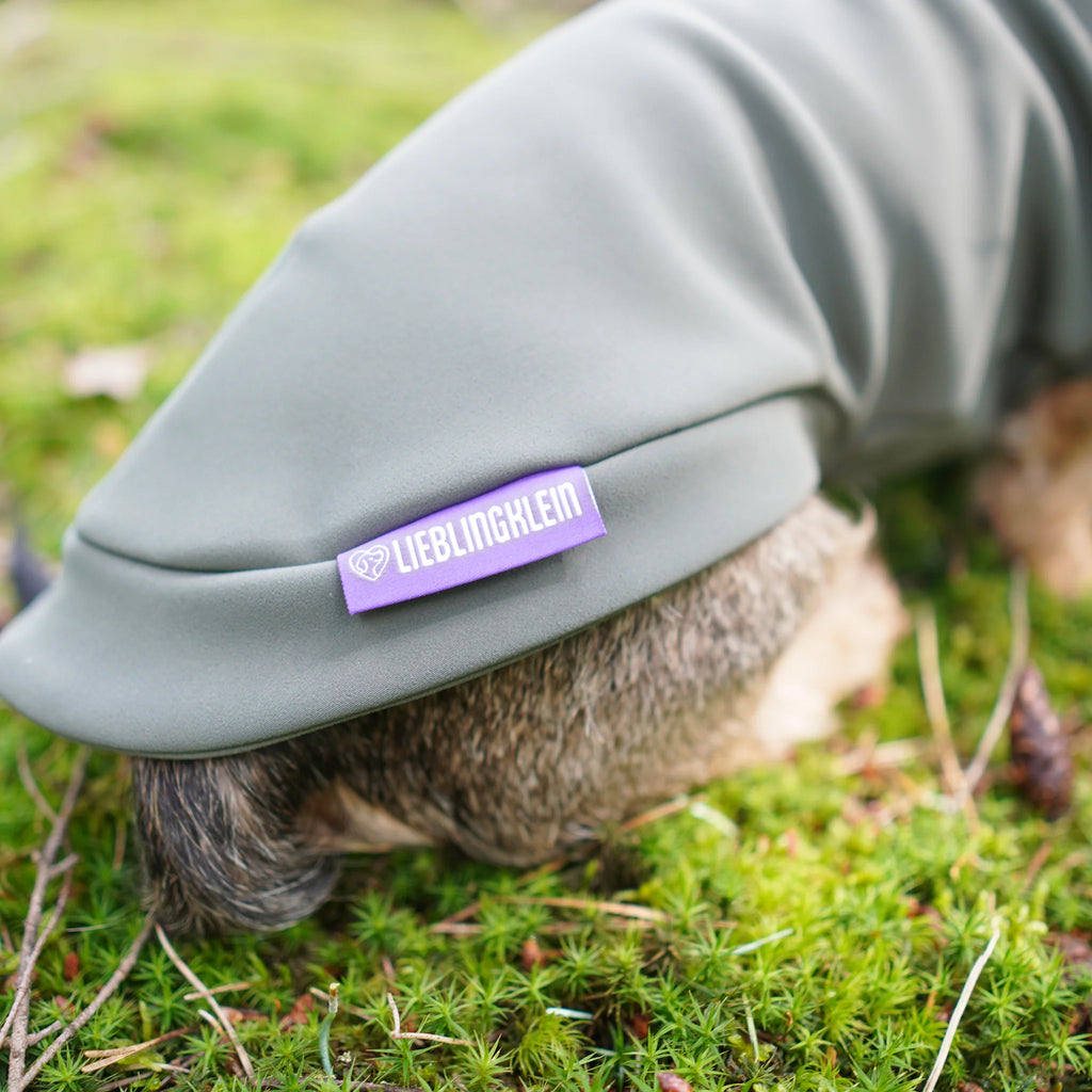 Hundepullover Dackel | no rain please - Hundepullover