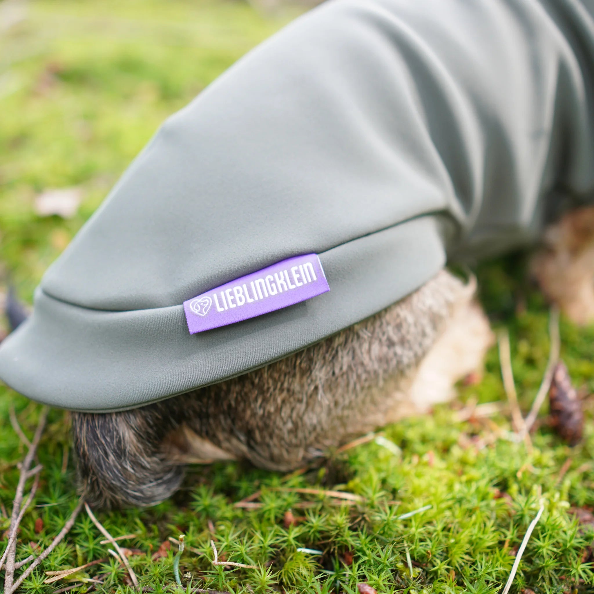 Hundepullover Dackel | no rain please - Hundepullover