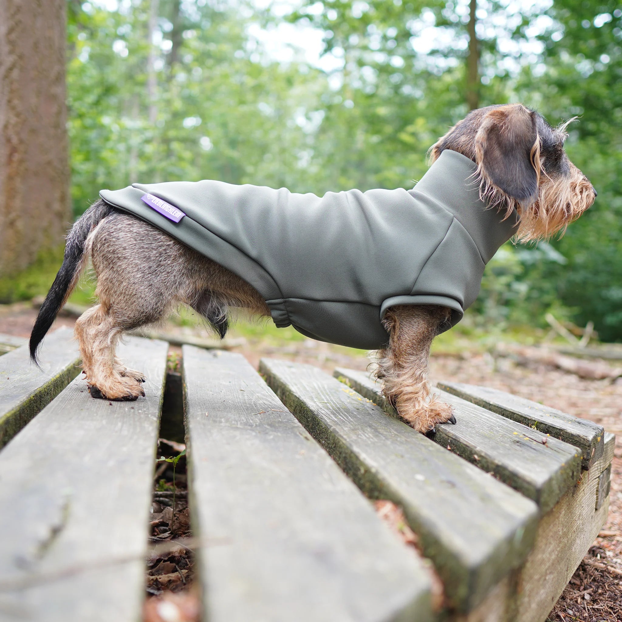 Hundepullover Dackel | no rain please - Hundepullover