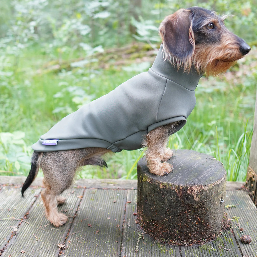 Hundepullover Dackel | no rain please - Hundepullover