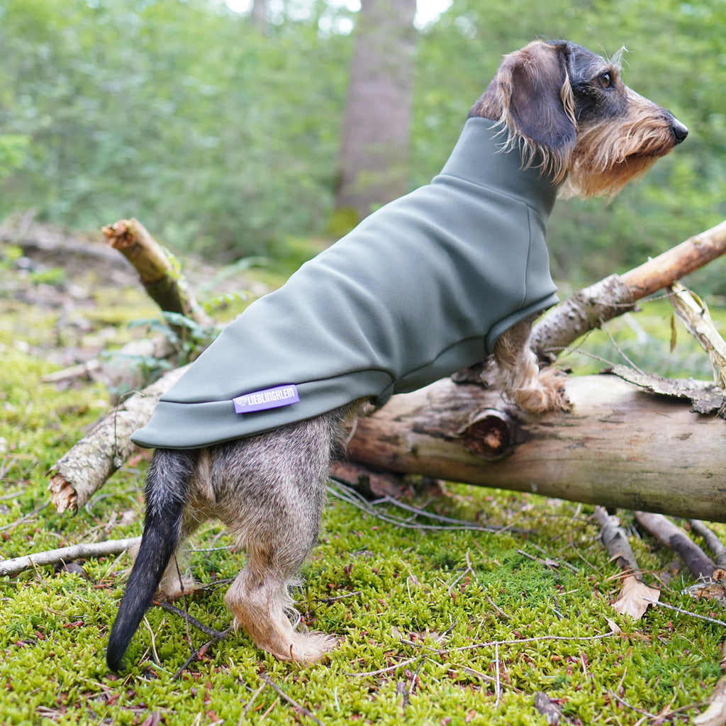 Hundepullover Dackel | no rain please - Hundepullover