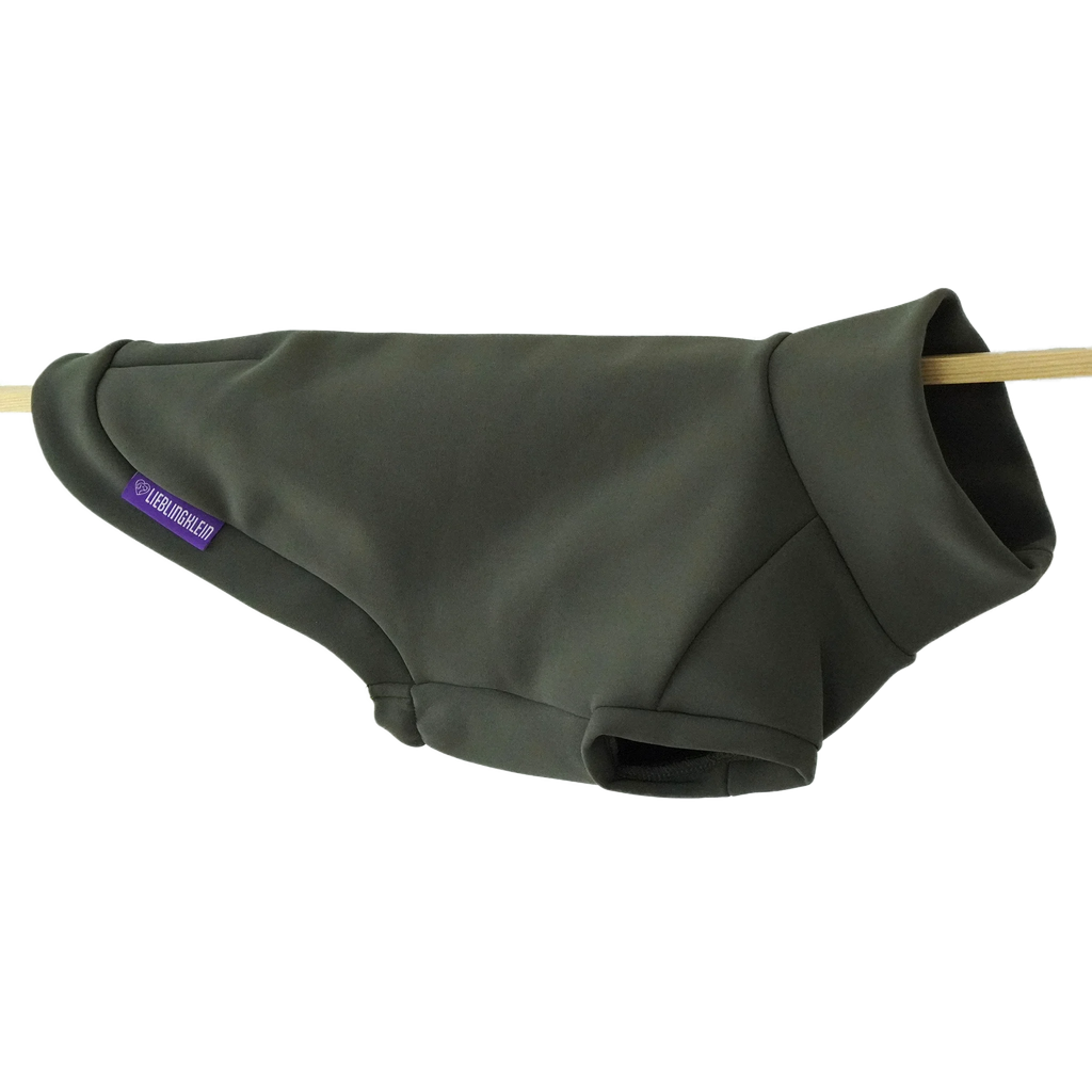Hundepullover Dackel | no rain please - Hundepullover