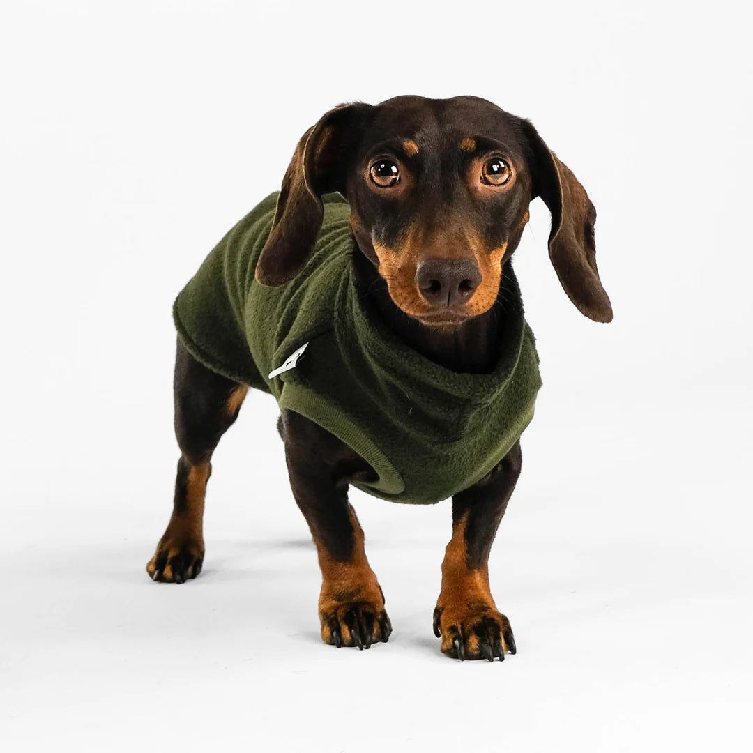 Hund im Long Shirt in Dark Olive von Karma Hund – seitliche Ansicht für optimale Passform