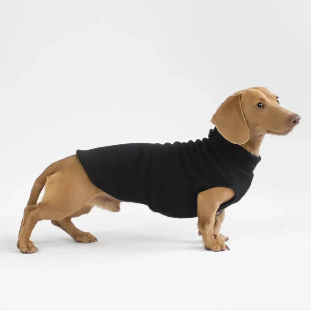 Long Shirt für Dackel Schwarz - Hundepullover