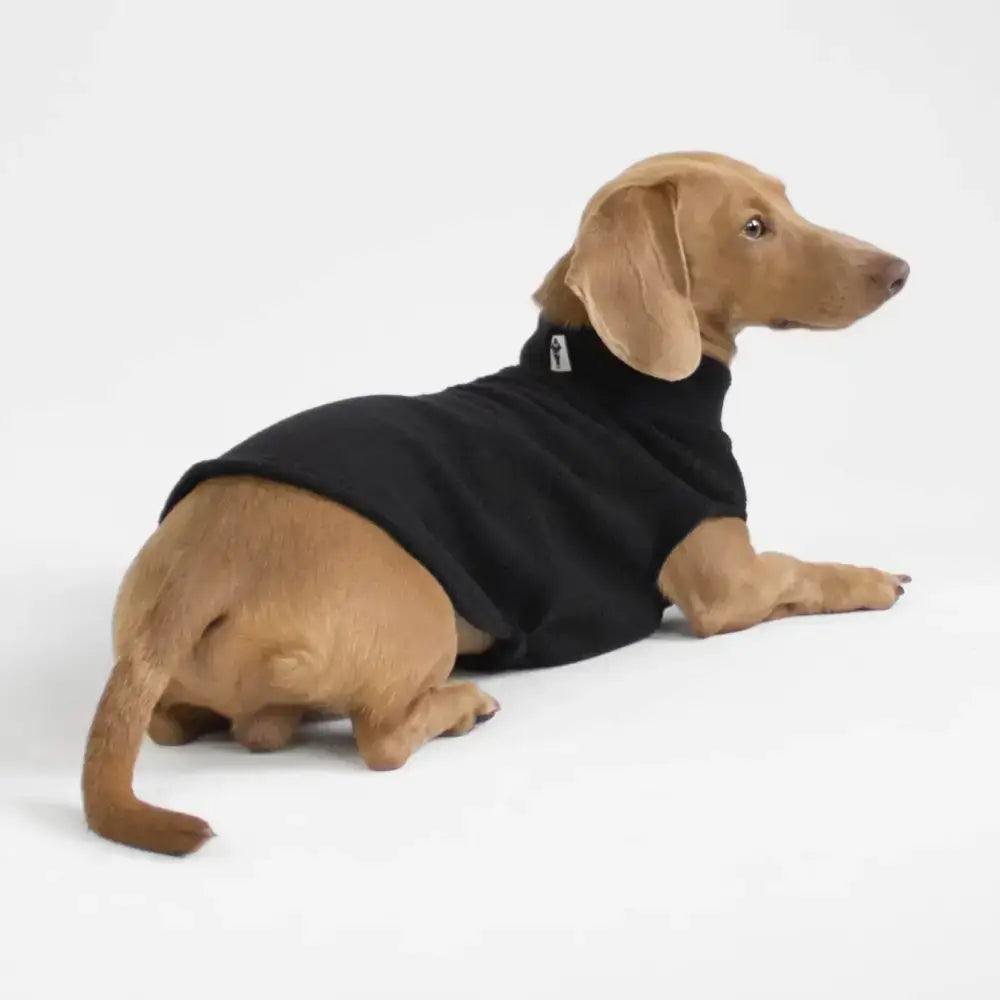 Long Shirt für Dackel Schwarz - Hundepullover