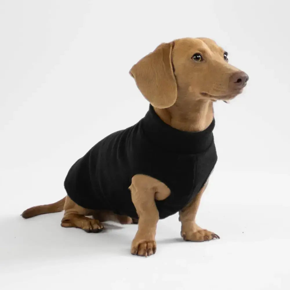 Long Shirt für Dackel Schwarz - Hundepullover