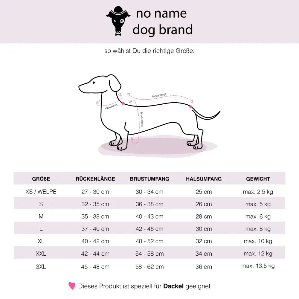 Long Shirt für Dackel Schwarz - Hundepullover