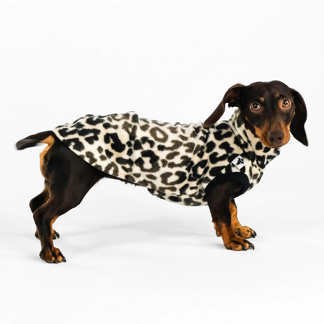 Hund mit Long Shirt im Leo-Design von Karma Hund – Seitenansicht für perfekte Passform bei Dackeln