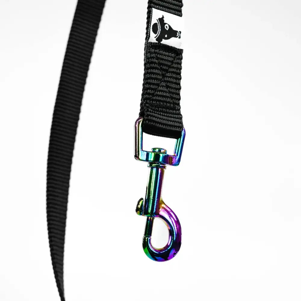 LOVE Hundeleine mit regenbogenfarbenem Karabiner – stabile und sichere Befestigung am Halsband oder Geschirr.