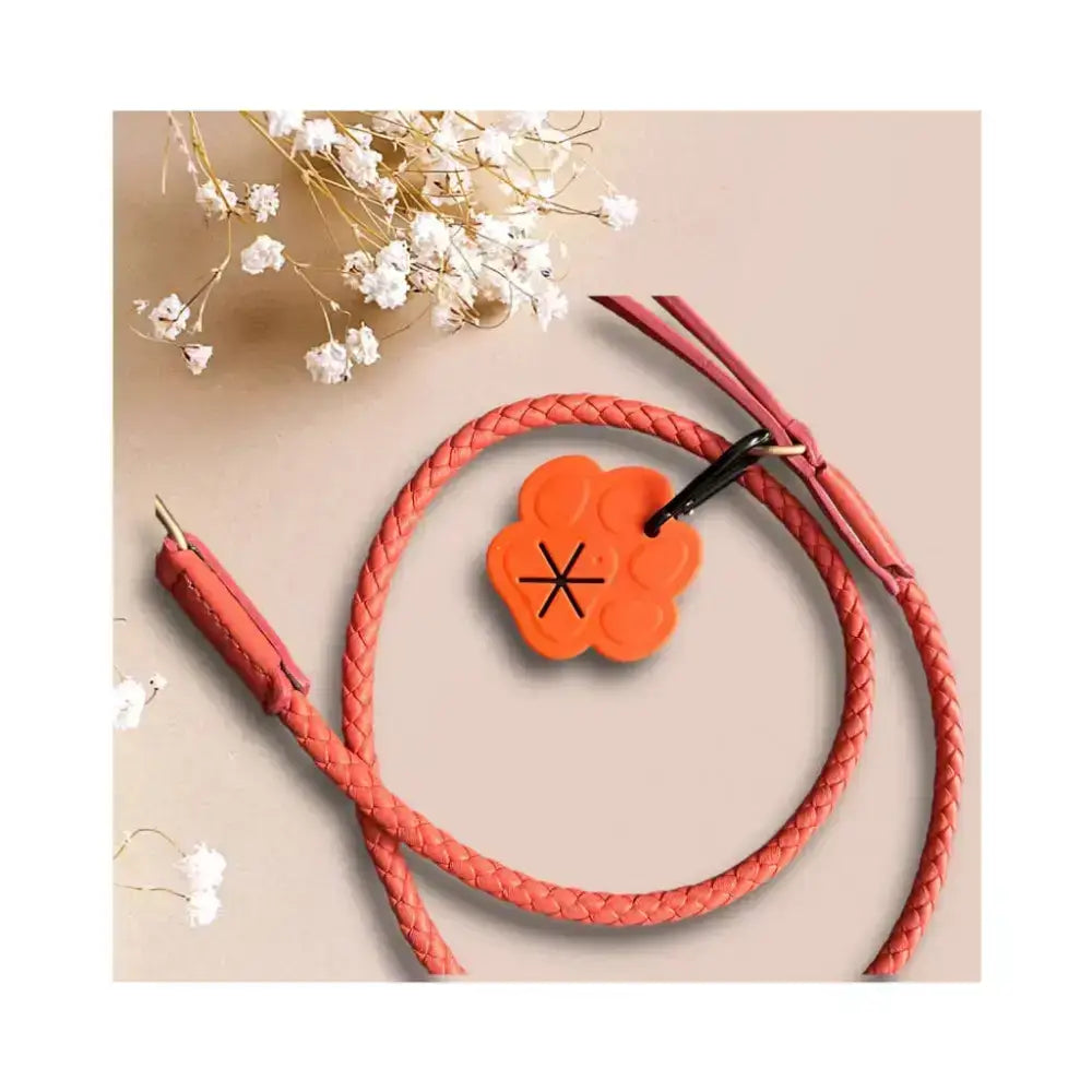 Lovin’Dog Kotbeutelhalter in Orange – Praktische & hygienische Lösung für Gassirunden.