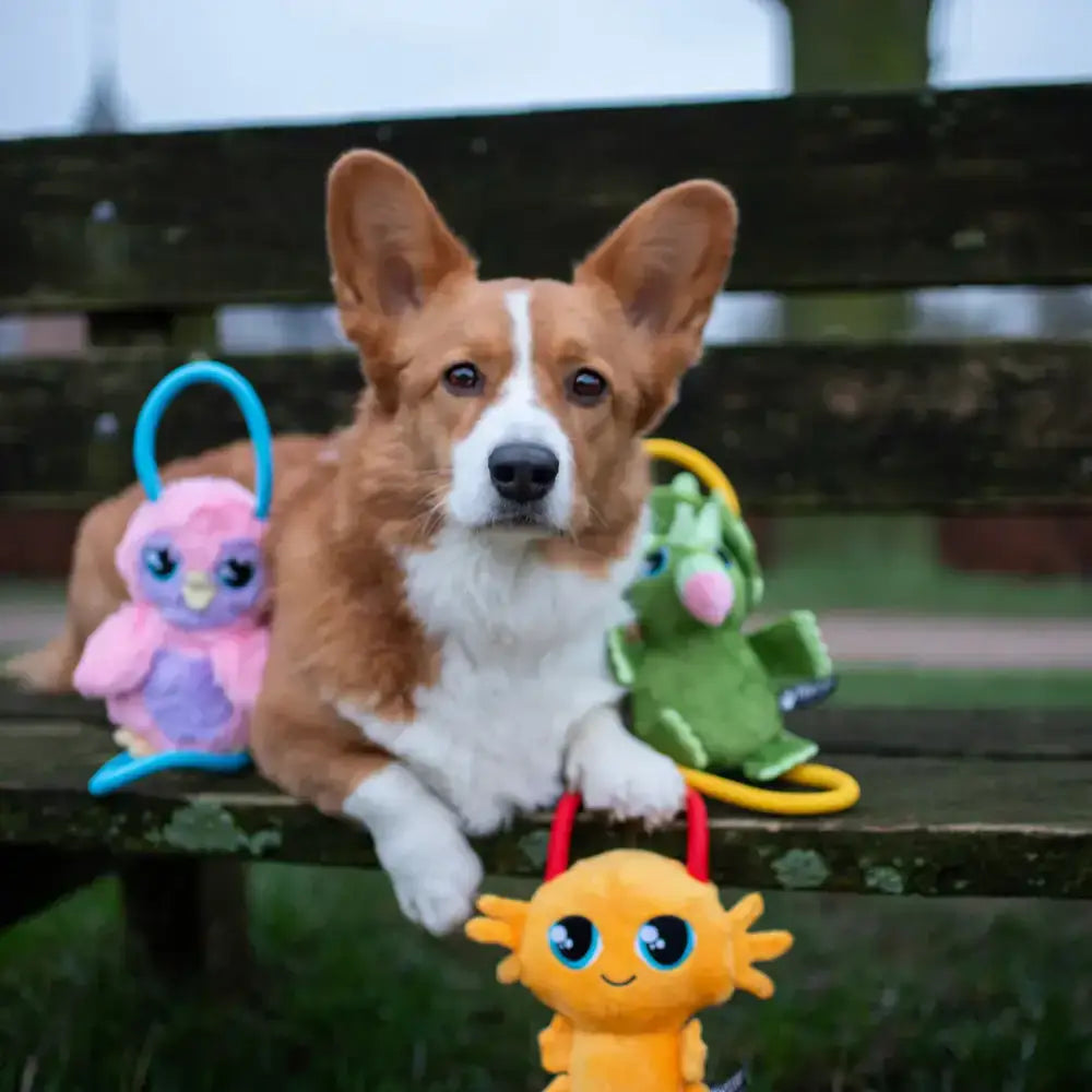 Manon Penguin und andere PawStory Buddies, Sammlung von kuscheligen Freunden für Hunde, ideal zum Spielen und Kuscheln