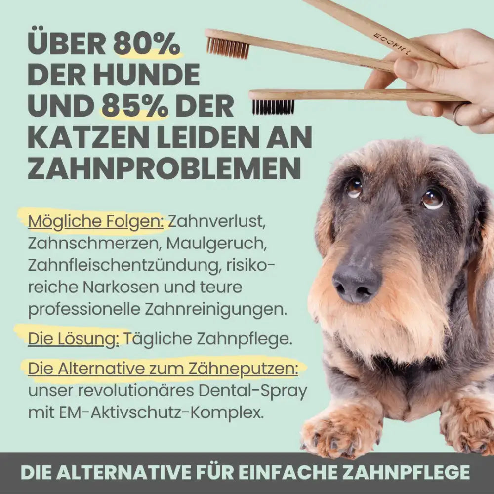 Maulgeruch bekämpfen bei Hunden & Katzen – Frischer Atem dank probiotischer Inhaltsstoffe.