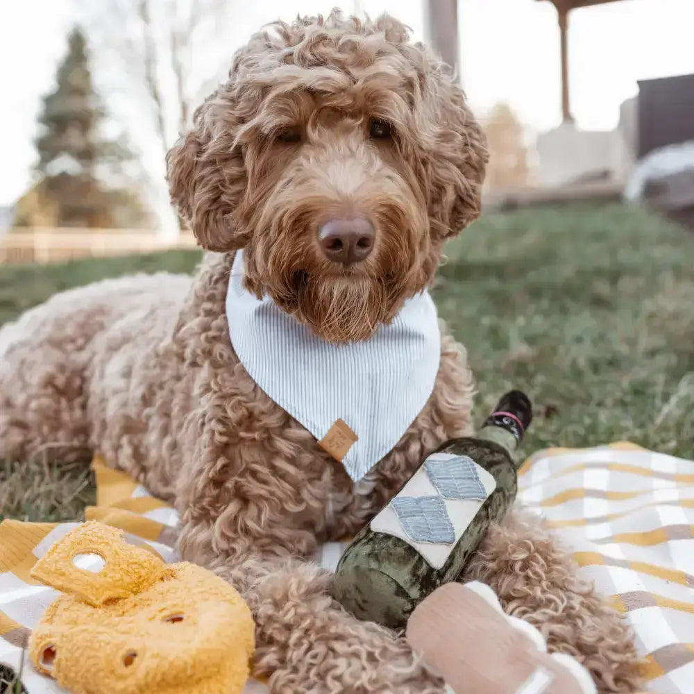 MERLOT Hundespielzeug – Fördert den natürlichen Spürsinn & sorgt für langanhaltende Beschäftigung.