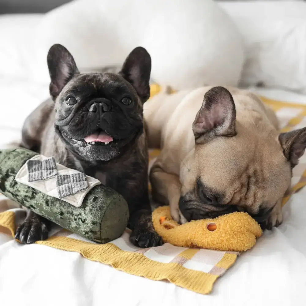 MERLOT Weinflaschen-Spielzeug für Hunde – Perfekt für Suchspiele & als weiches Kuschelkissen.
