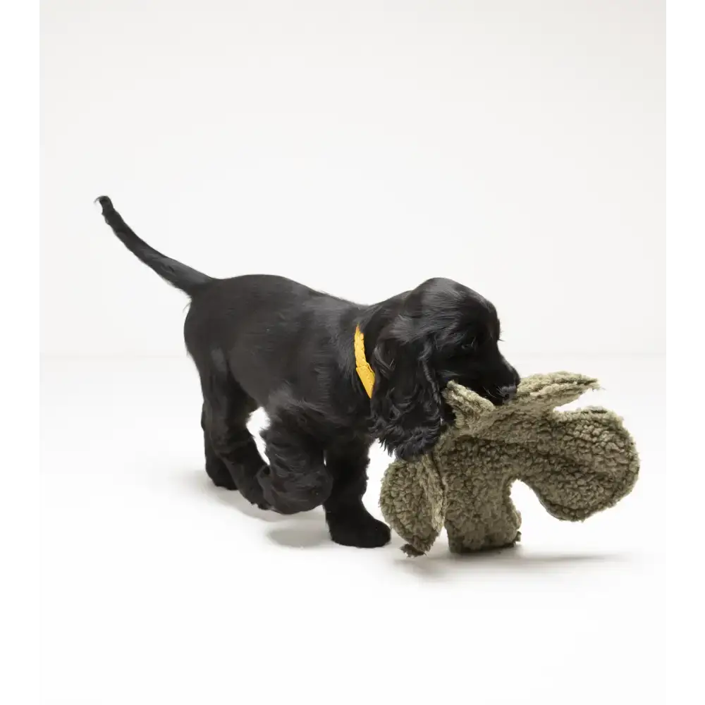 Detailansicht des umweltfreundlichen und naturinspirierten Designs des Hundespielzeugs von 2.8 Duepuntootto.