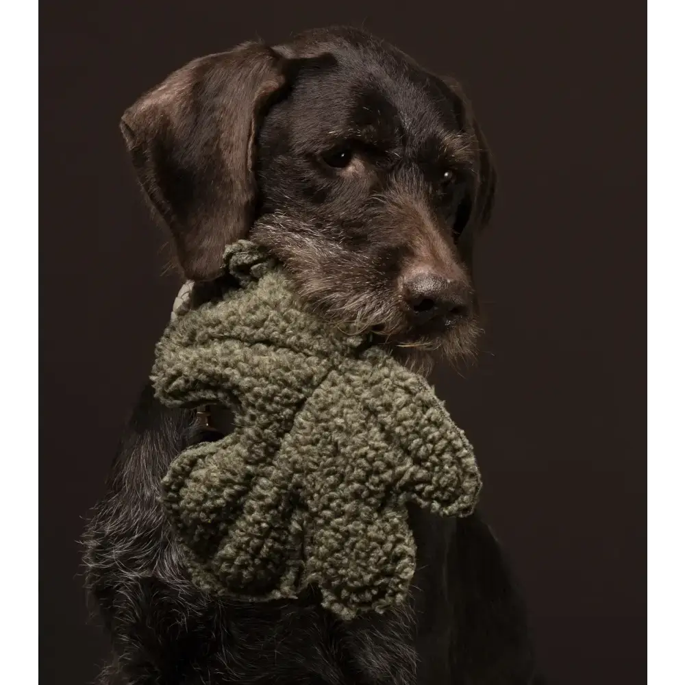 Hund spielt begeistert mit dem Mimmo Fig Leaf Spielzeug von 2.8 Duepuntootto – Spielspaß mit Stil und Funktion