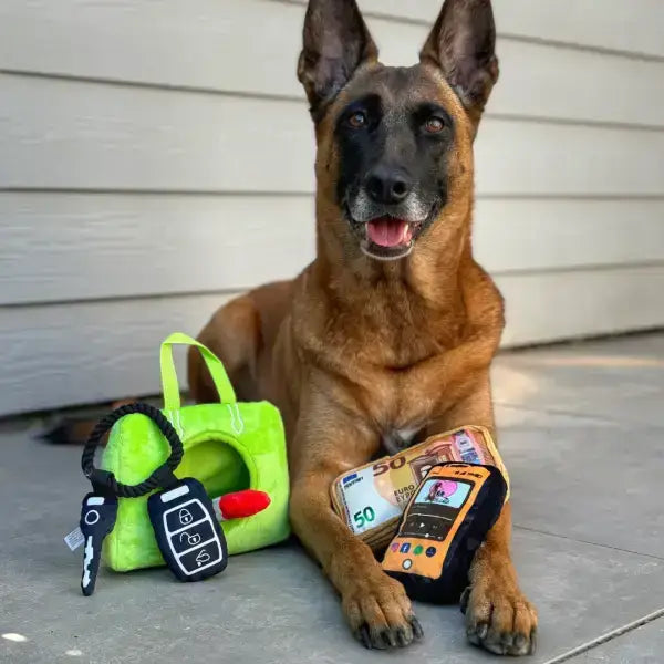 Modisches Hundespielzeug mit Mini-Spielzeugen – Lippenstift, Smartphone & Autoschlüssel für extra Spaß.