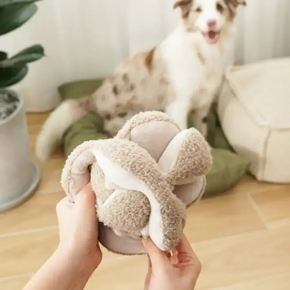Montessori-Schnüffelball für Hunde – Fördert kognitive Entwicklung & natürliche Lernprozesse.