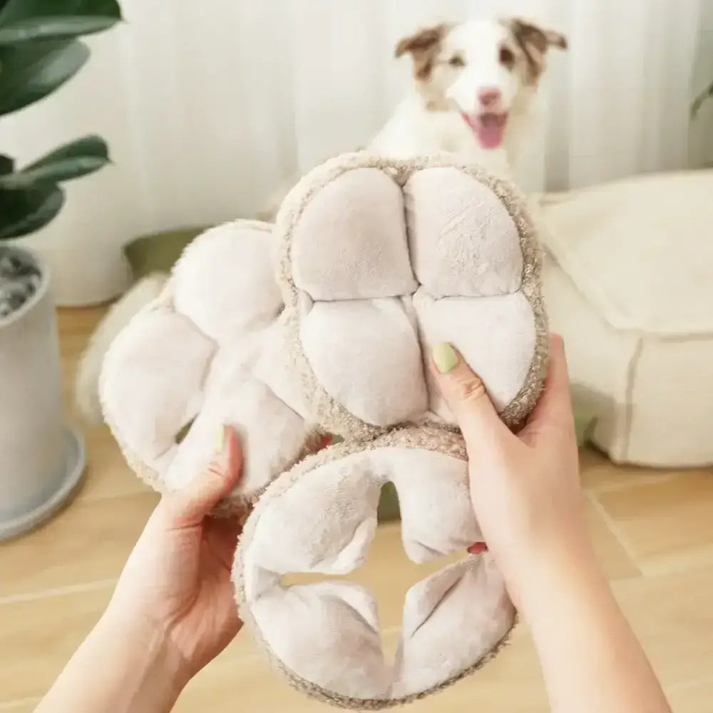 Hundespielzeug mit Knisterpapier & zerlegbarem Design – Einfach zu reinigen & langlebig.