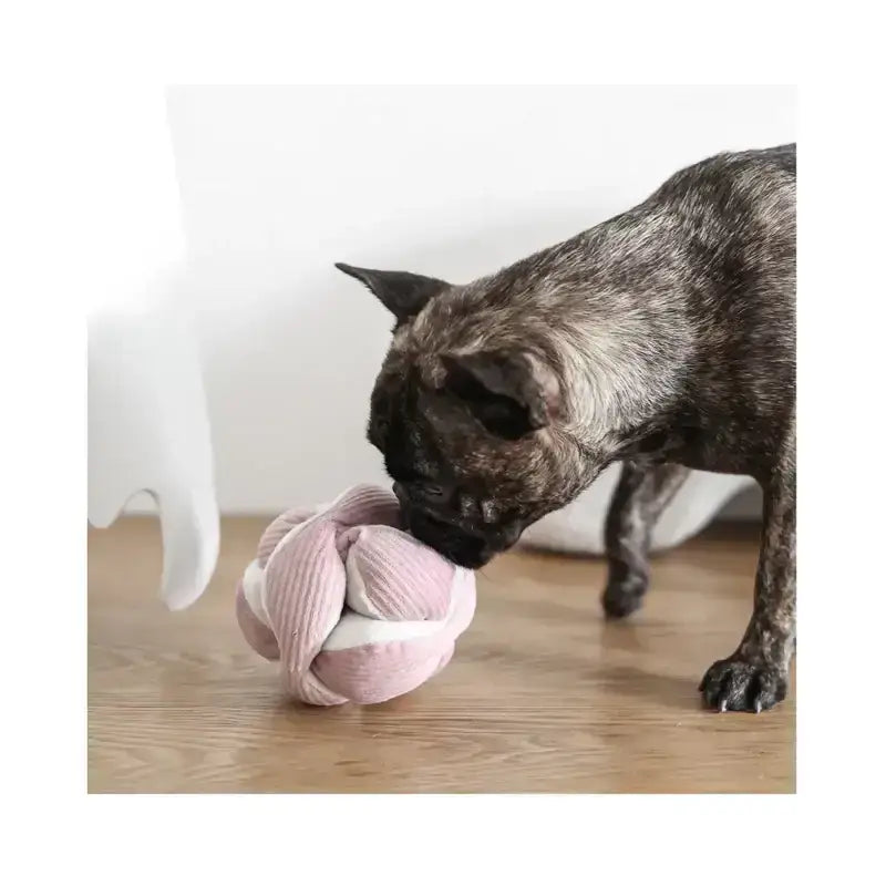 MONTI Schnüffelball in Rosa – Mit Quietscher und Knisterpapier für multisensorische Stimulation