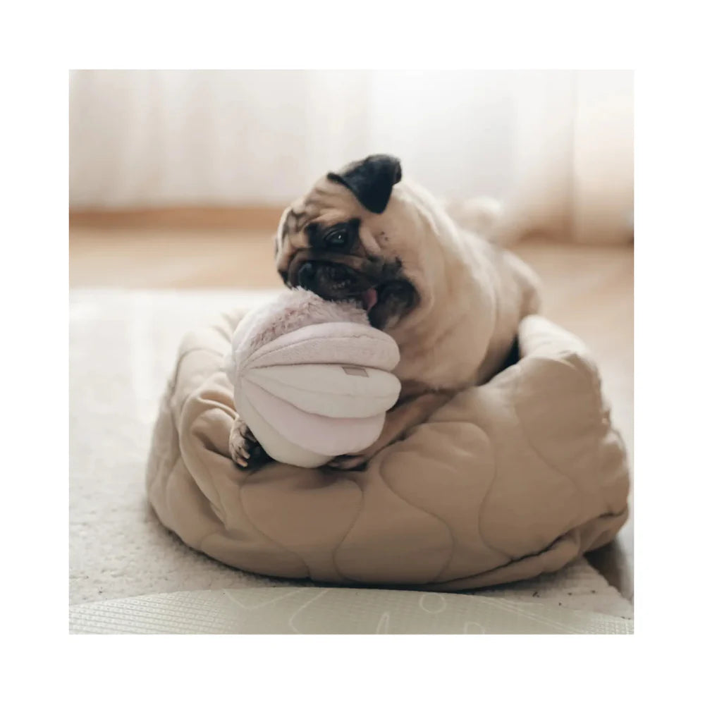 Mops liegt auf dem rosa TOTO Schnüffelball von Lambwolf – kuschelig & verspielt