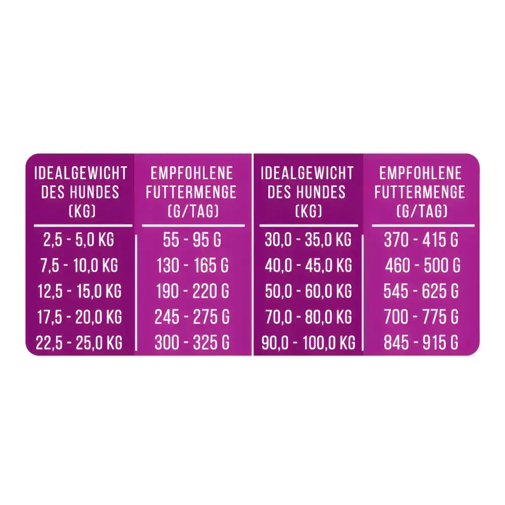 Gesundes & nachhaltiges Hundefutter – Jetzt „Ente gut, alles gut“ probieren!