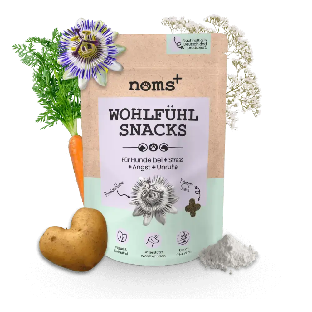 Natürliche Beruhigung für Hunde ohne Müdigkeit – Die Wohlfühlsnacks helfen bei Stress, Angst & Hyperaktivität.