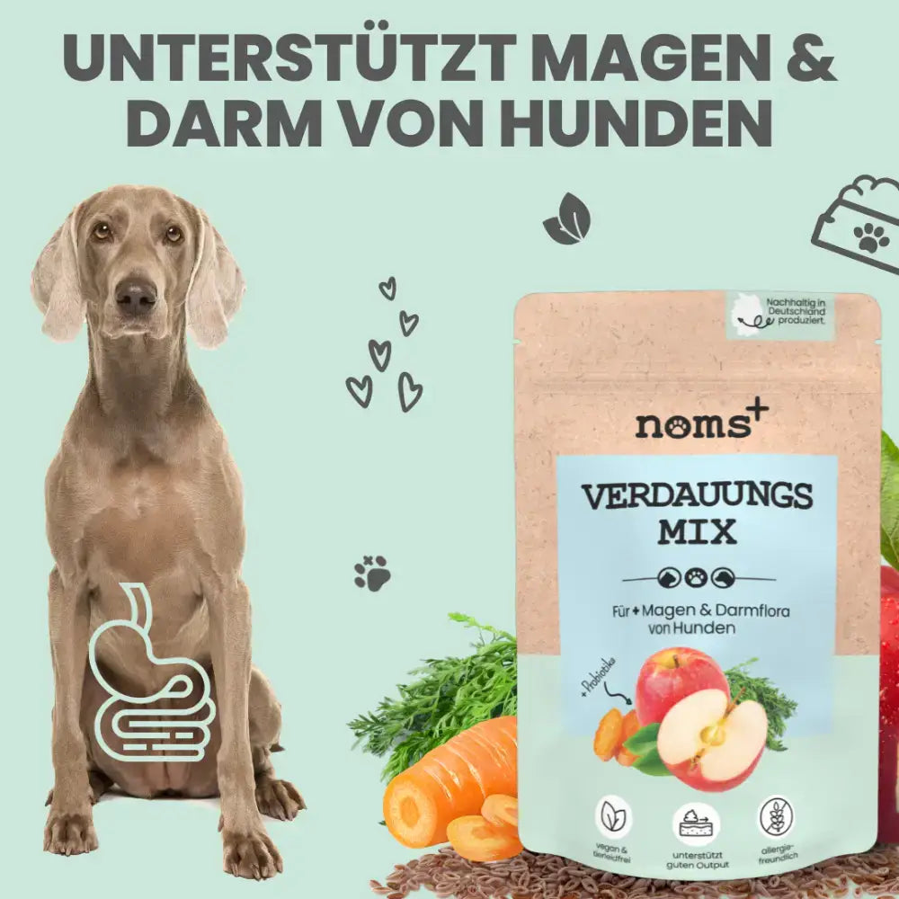Sanfte Darmkur für Hunde & Katzen – Hilft bei Durchfall, Blähungen & Magen-Darm-Problemen.
