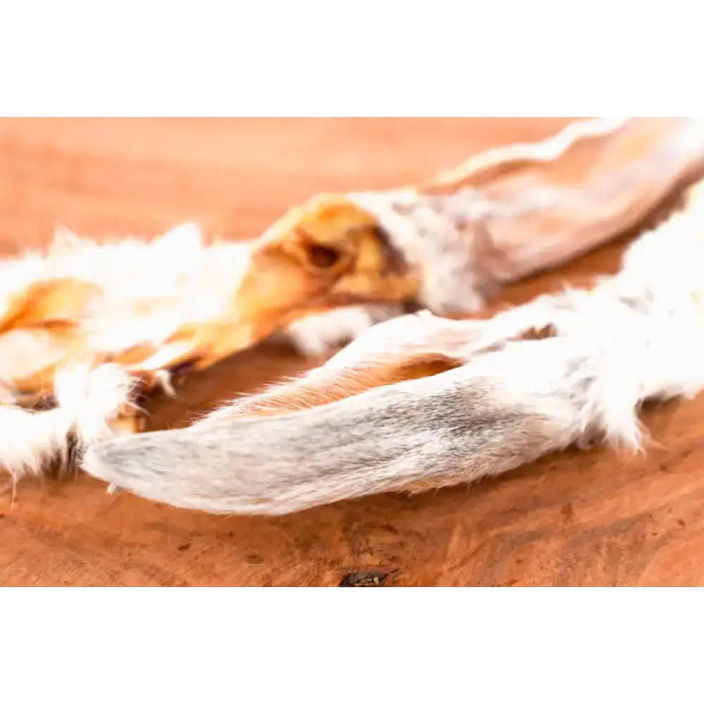 Natürlicher Hundesnack: Kaninchenohren mit Fell von Cookies Laden, fettarm und nahrhaft – perfekte Belohnung für Hunde.