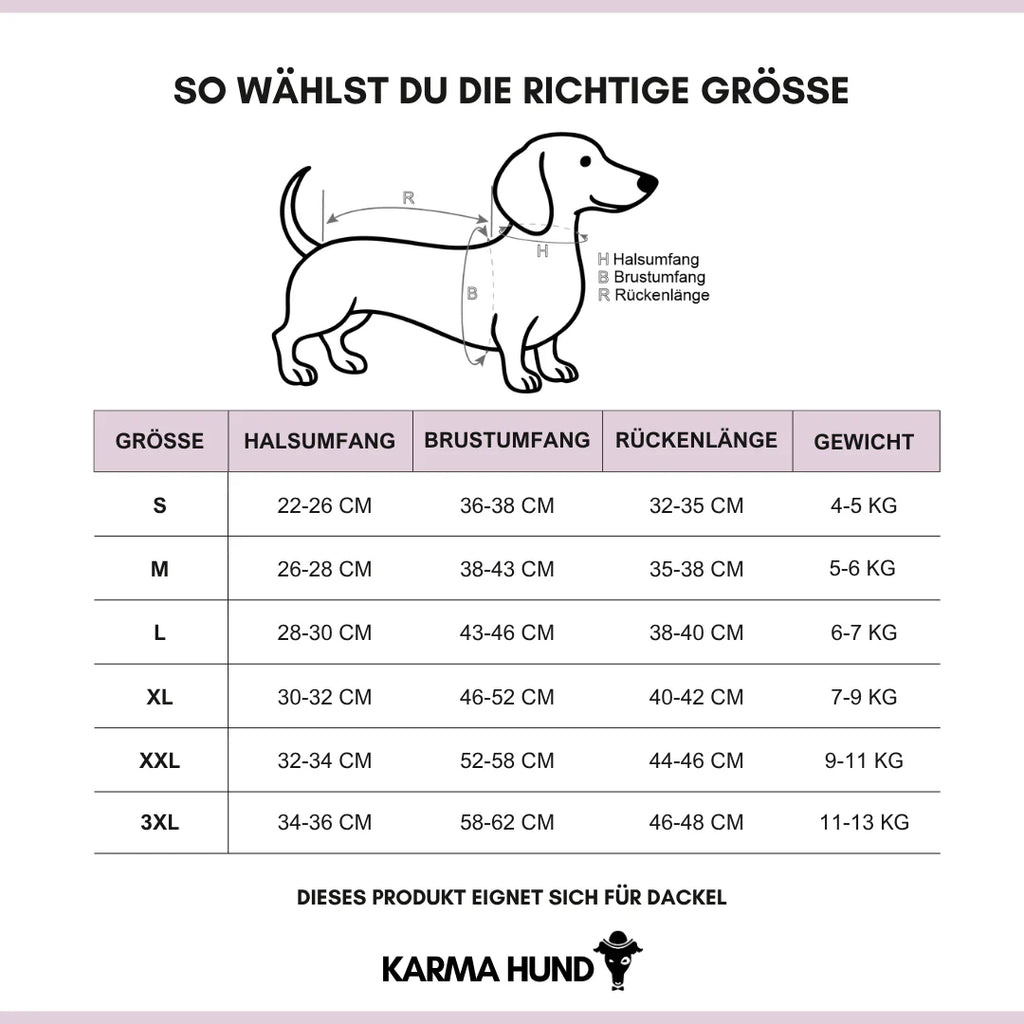 Long Shirt 2.0 für Dackel | Teddy Camel - Hundepullover