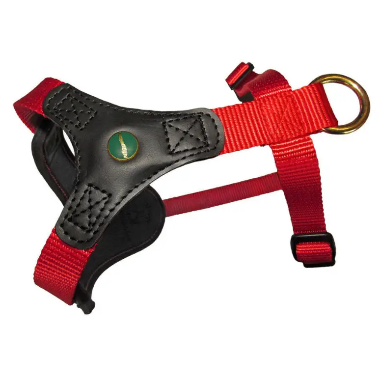 Hundegeschirr in Rot – Niggeloh Follow START, ideal für Spaziergänge und Outdoor-Aktivitäten