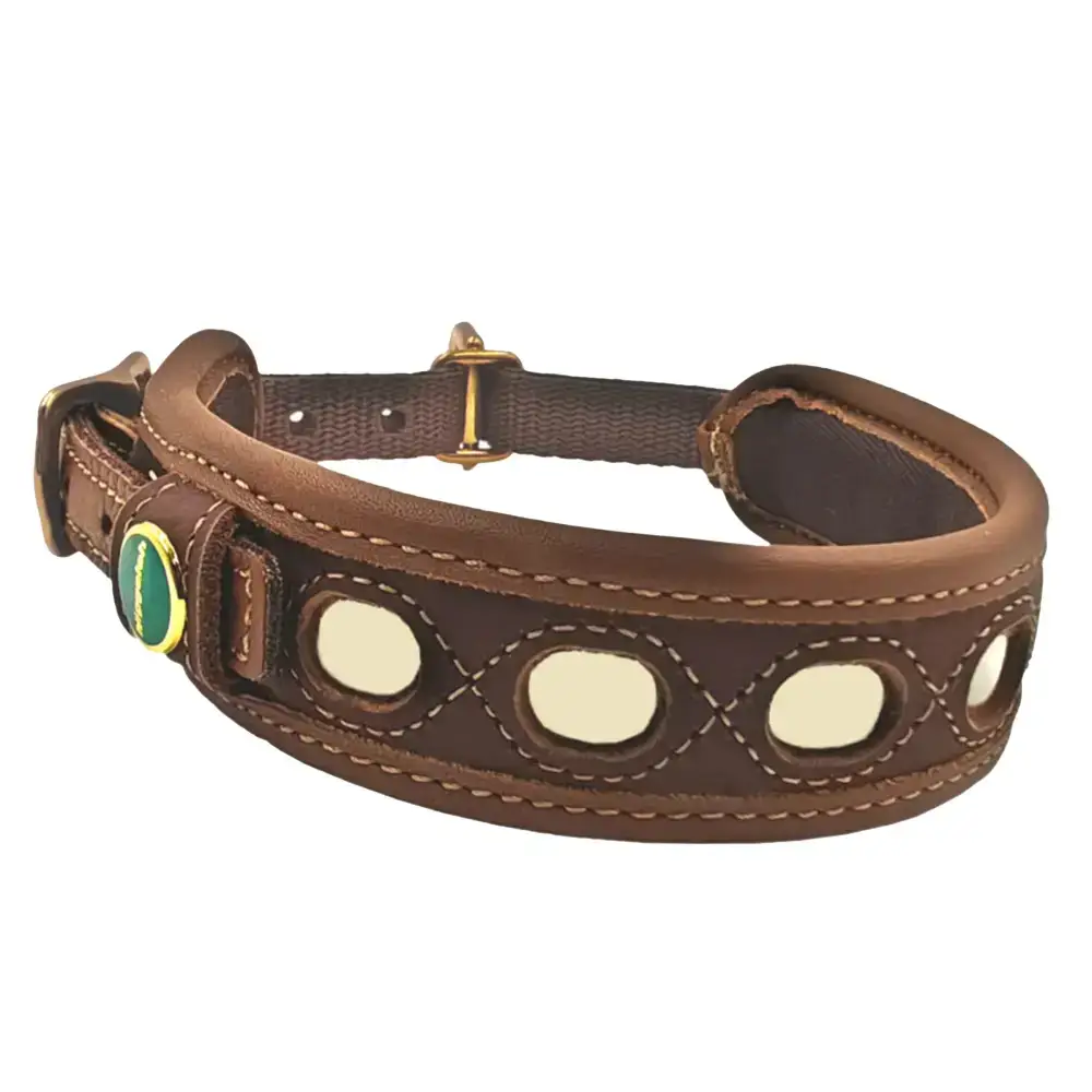 Niggeloh Lichtblick Lederhalsband – Selbstleuchtendes Hundehalsband für maximale Sichtbarkeit.