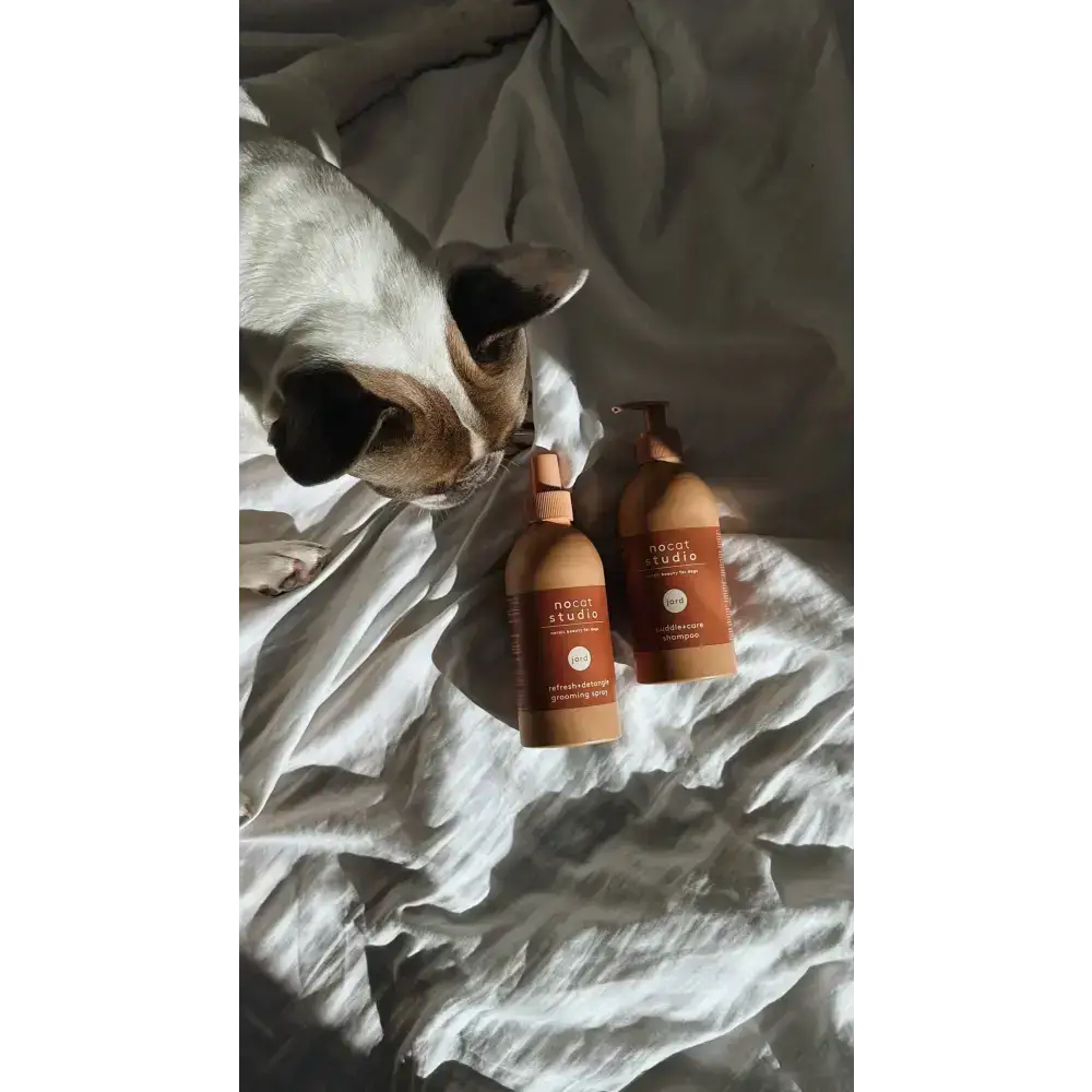 Natürliche Hundepflege: Das nocat studio cuddle+care Shampoo JORD pflegt und schützt das Fell mit sanften Inhaltsstoffen.