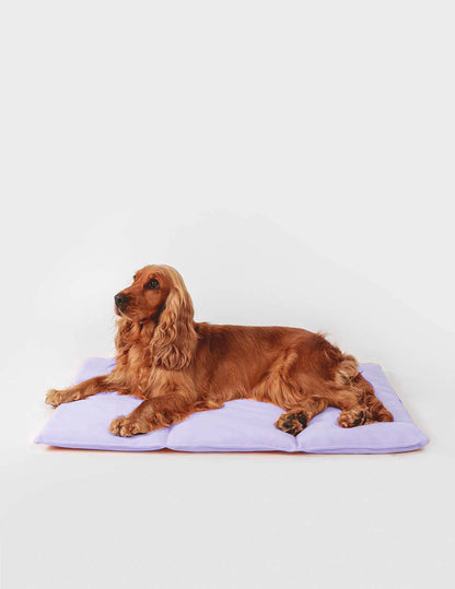 Hund auf dem Nomad Bed von Qisu in Flieder – stilvolles & bequemes Reisebett für unterwegs