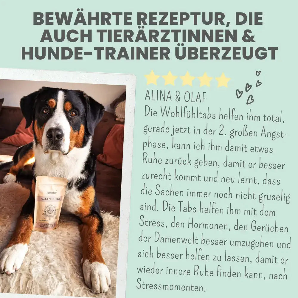 Nomsplus Wohlfühlmix für Hunde & Katzen – Pflanzliche Beruhigung bei Unruhe & Schlafstörungen.