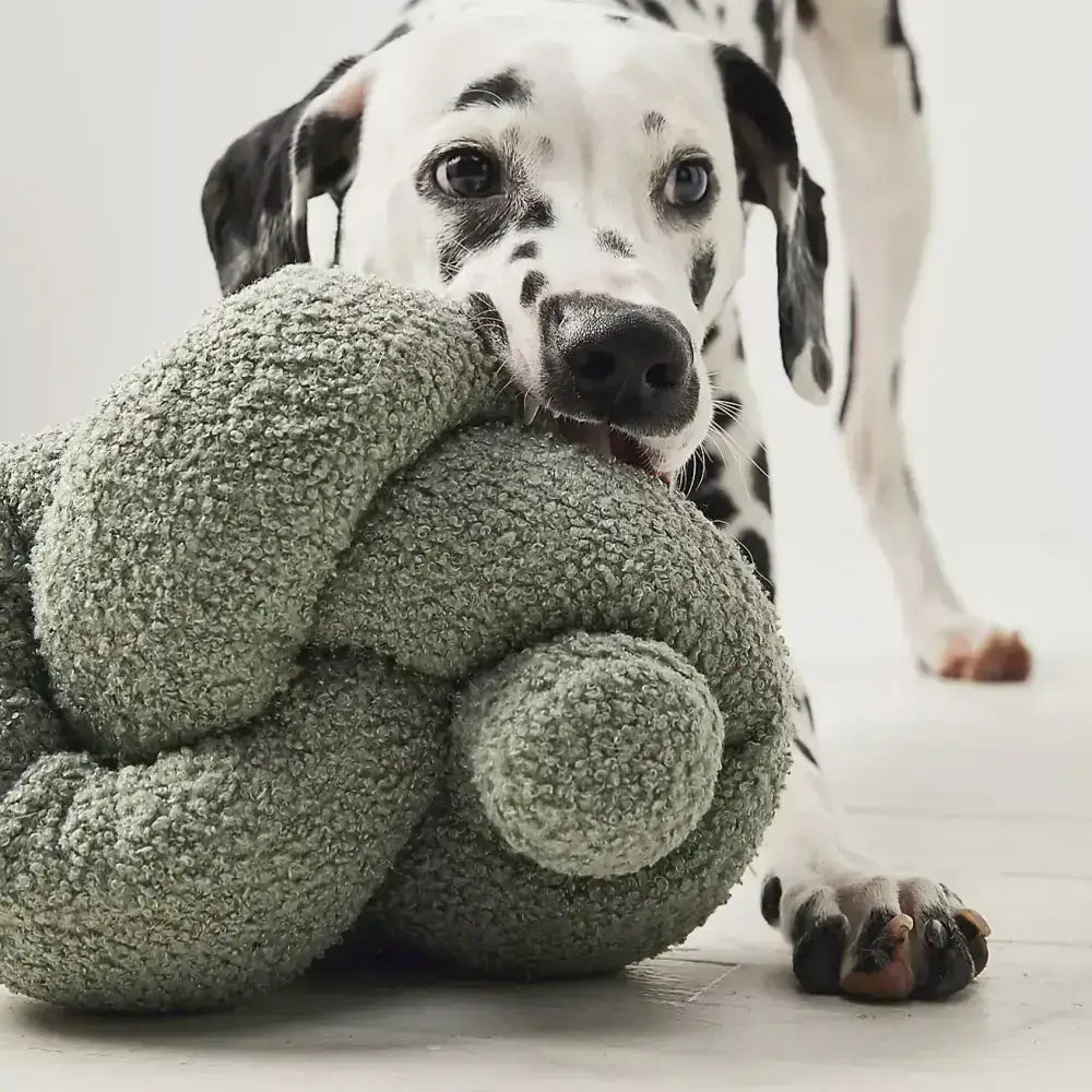 O NOU XXL Hundespielzeug von Lambwolf Collective – Perfekt für große & aktive Hunde.