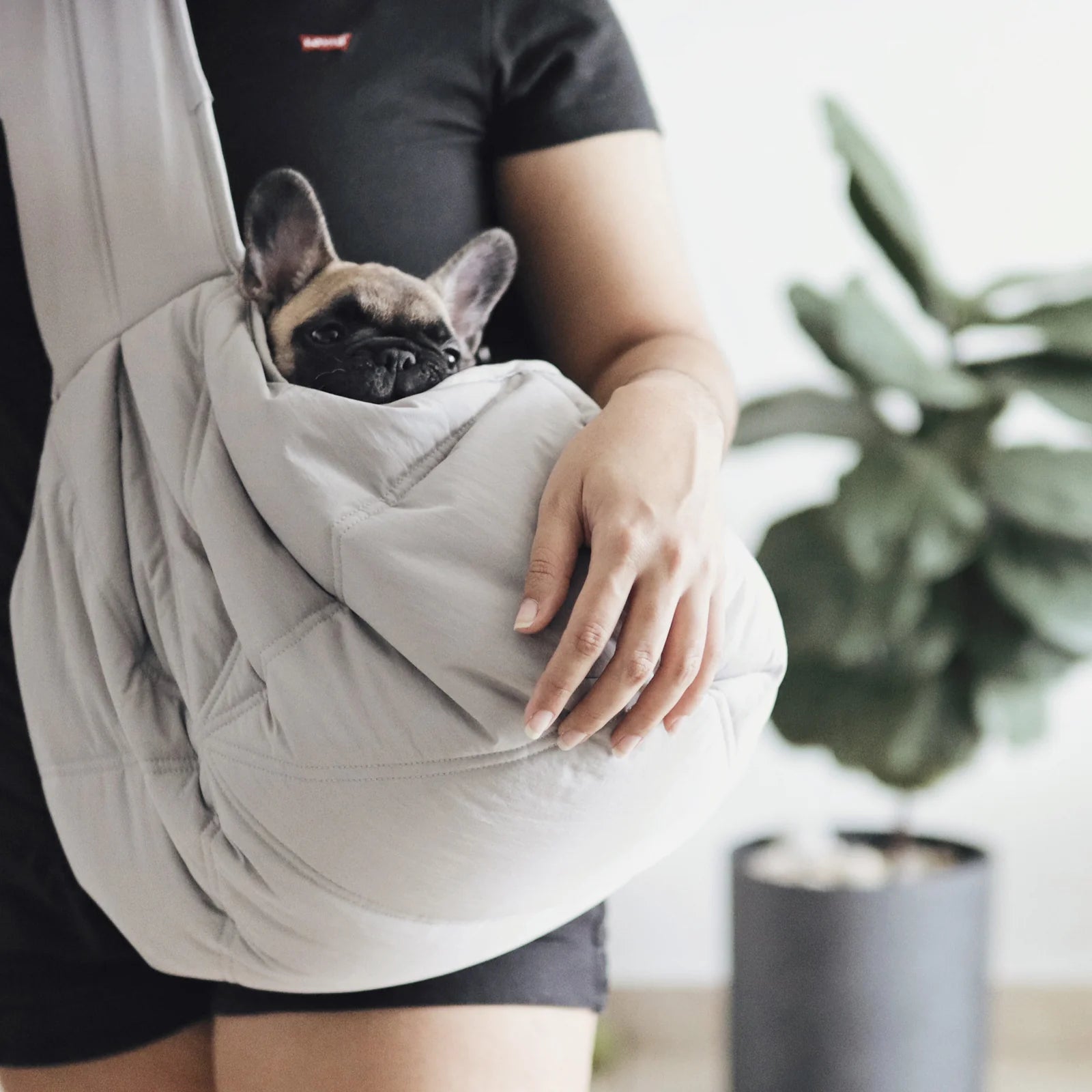 Hund wird in der grauen OLLA Tasche auf dem Arm getragen – sicher & stylisch unterwegs
