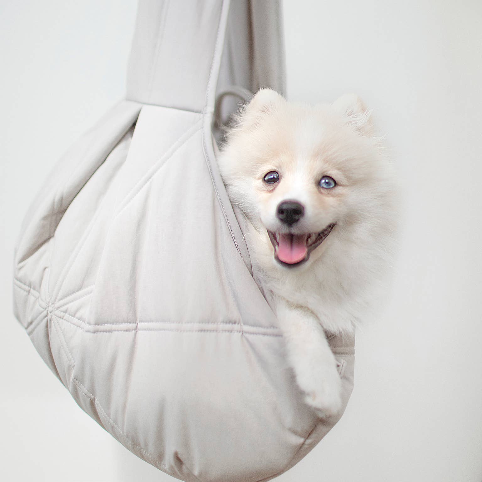 Kleiner Hund entspannt in der OLLA Tragetasche von Lambwolf Collective