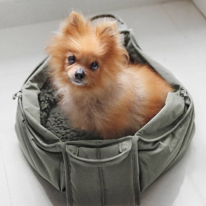Kleiner Hund sitzt gemütlich in der OLLA Tasche in Olivgrün