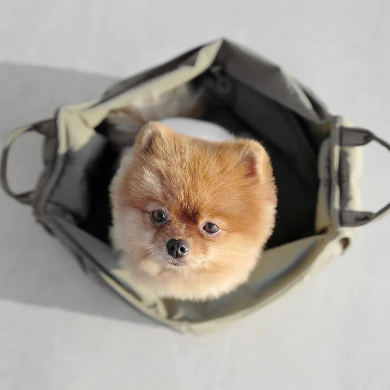  Blick von oben: Hund liegt entspannt in der OLLA Tasche in Oliv